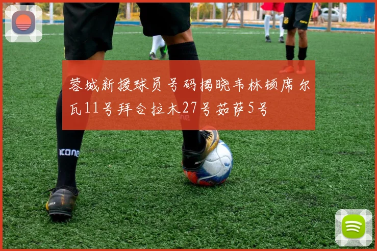 蓉城新援球员号码揭晓韦林顿席尔瓦11号拜合拉木27号茹萨5号
