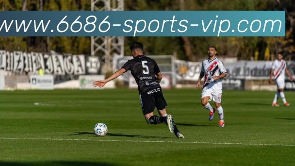 6686体育平台生态图