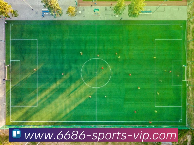 6686体育APP 封面图